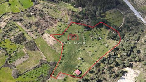 Quinta  Venda em Santiago de Cassurrães e Póvoa de Cervães,Mangualde