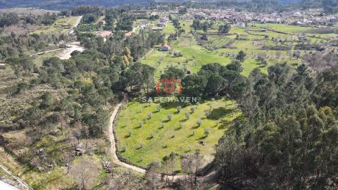 Quinta  Venda em Santiago de Cassurrães e Póvoa de Cervães,Mangualde