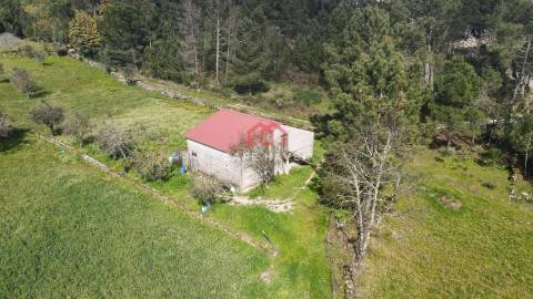 Quinta  Venda em Santiago de Cassurrães e Póvoa de Cervães,Mangualde