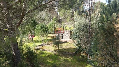 Quinta  Venda em Santiago de Cassurrães e Póvoa de Cervães,Mangualde