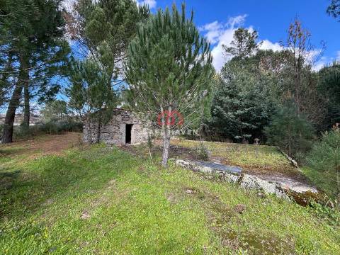 Quinta  Venda em Santiago de Cassurrães e Póvoa de Cervães,Mangualde