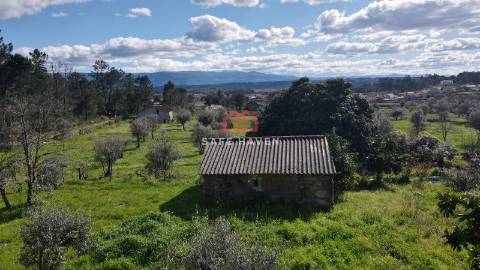 Quinta  Venda em Santiago de Cassurrães e Póvoa de Cervães,Mangualde