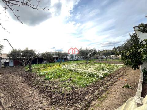 Prédio T7 Venda em Mangualde, Mesquitela e Cunha Alta,Mangualde