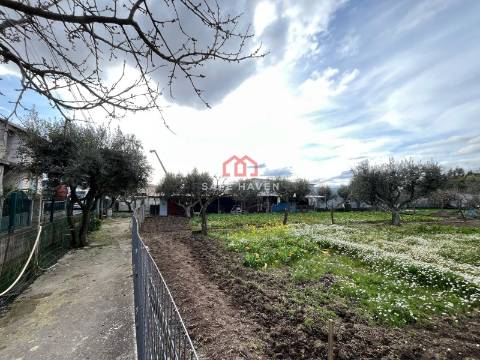 Prédio T7 Venda em Mangualde, Mesquitela e Cunha Alta,Mangualde