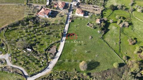 Terreno Rústico  Venda em Quintela de Azurara,Mangualde