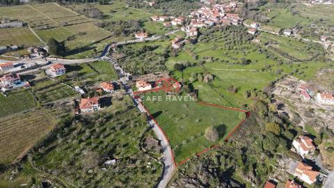 Terreno Rústico  Venda em Quintela de Azurara,Mangualde