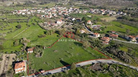 Terreno Rústico  Venda em Quintela de Azurara,Mangualde