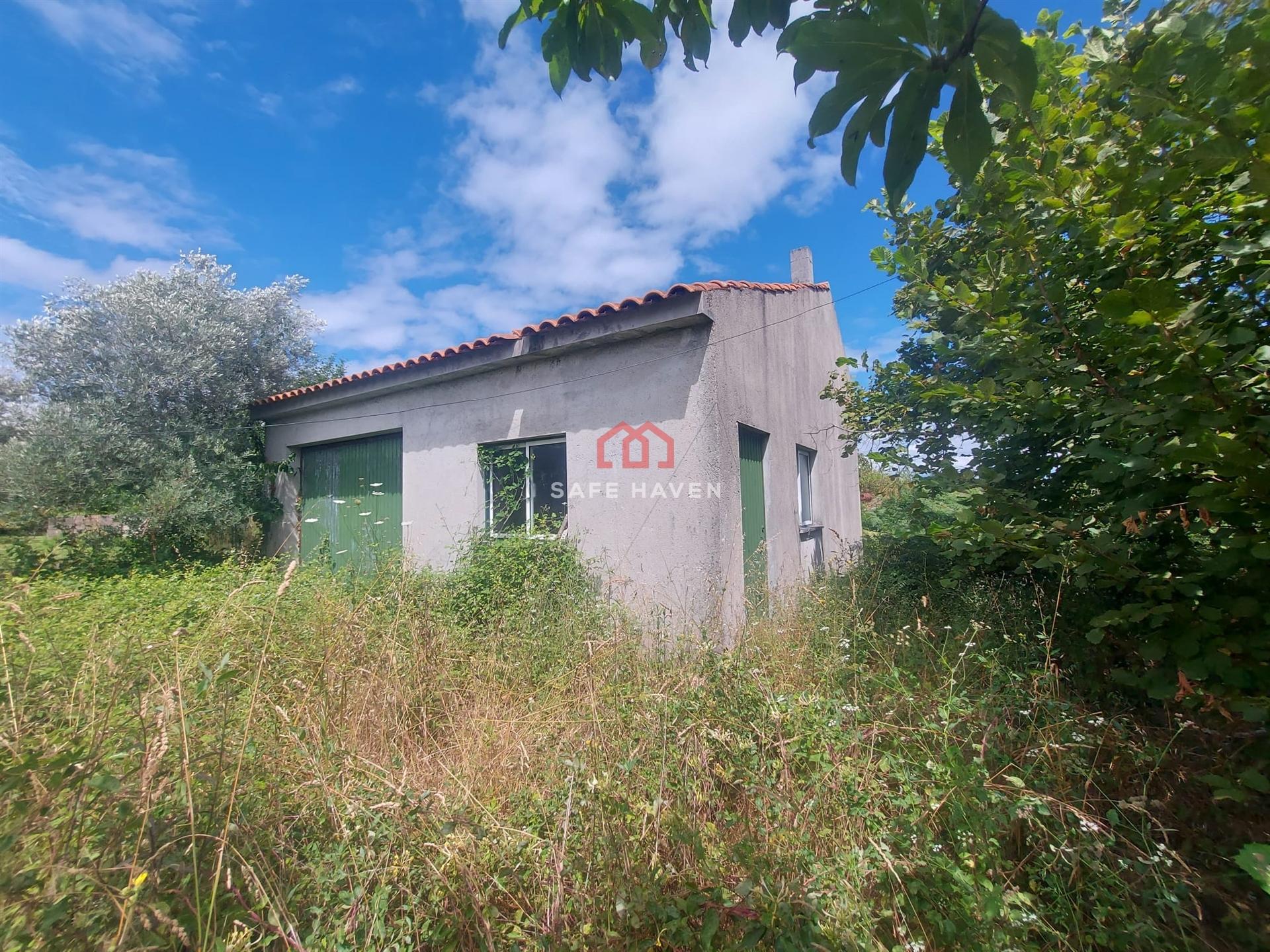 Terreno Rústico  Venda em Quintela de Azurara,Mangualde
