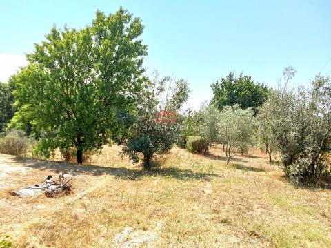 Quinta  Venda em Santiago de Cassurrães e Póvoa de Cervães,Mangualde