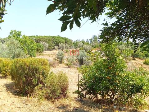 Quinta  Venda em Santiago de Cassurrães e Póvoa de Cervães,Mangualde