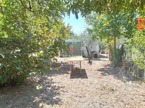 Quinta  Venda em Santiago de Cassurrães e Póvoa de Cervães,Mangualde