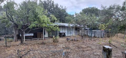 Quinta  Venda em Santiago de Cassurrães e Póvoa de Cervães,Mangualde