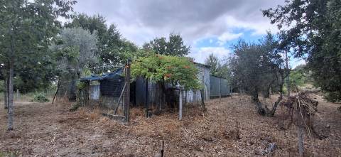 Quinta  Venda em Santiago de Cassurrães e Póvoa de Cervães,Mangualde