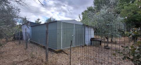 Quinta  Venda em Santiago de Cassurrães e Póvoa de Cervães,Mangualde