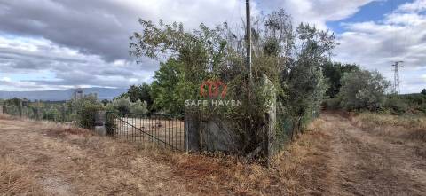 Quinta  Venda em Santiago de Cassurrães e Póvoa de Cervães,Mangualde