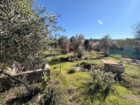 Moradia T3 nova em Mangualde