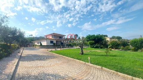 Moradia Isolada T4 Venda em Mangualde, Mesquitela e Cunha Alta,Mangualde