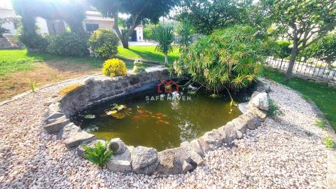 Moradia Isolada T4 Venda em Mangualde, Mesquitela e Cunha Alta,Mangualde