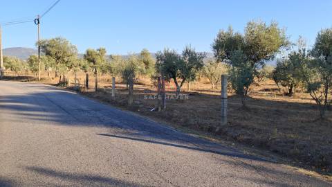 Terreno de 13.120 m² em Santa Comba, Seia