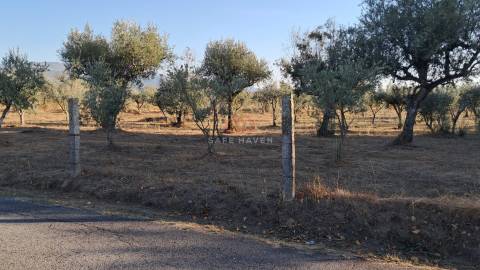 Terreno de 13.120 m² em Santa Comba, Seia