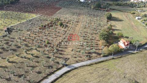Terreno de 13.120 m² em Santa Comba, Seia
