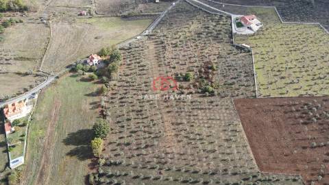Terreno de 13.120 m² em Santa Comba, Seia