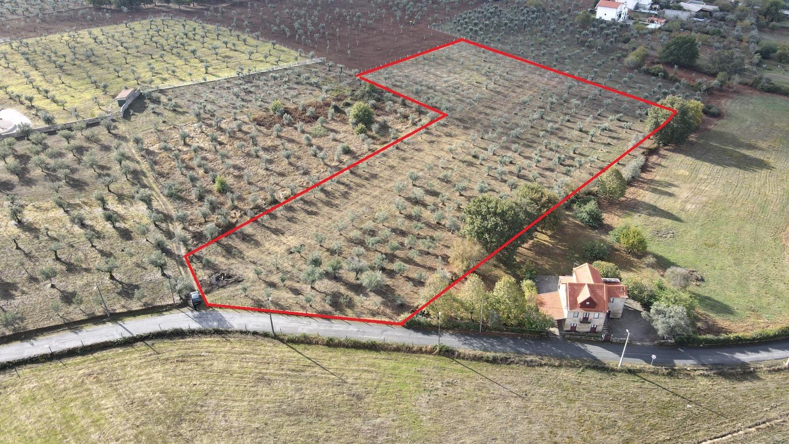 Terreno de 13.120 m² em Santa Comba, Seia