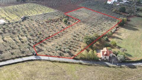 Terreno de 13.120 m² em Santa Comba, Seia