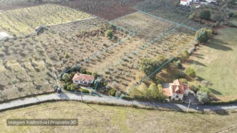 Terreno de 13.120 m² em Santa Comba, Seia