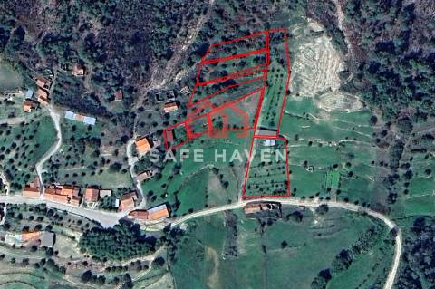 Terreno Rústico  Venda em Santiago de Cassurrães e Póvoa de Cervães,Mangualde