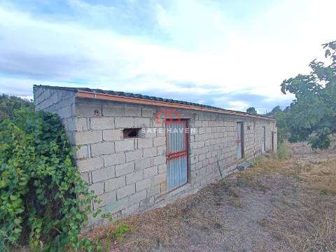 Terreno Rústico  Venda em Santiago de Cassurrães e Póvoa de Cervães,Mangualde