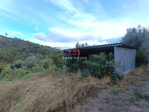 Terreno Rústico  Venda em Santiago de Cassurrães e Póvoa de Cervães,Mangualde