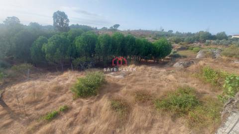 Moradia T4 Venda em Tourais e Lajes,Seia