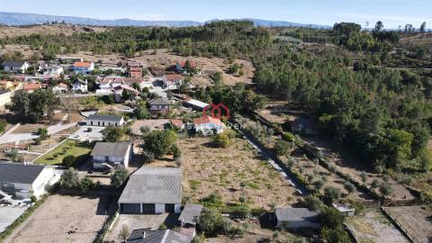 Terreno Rústico  Venda em Tavares (Chãs, Várzea e Travanca),Mangualde