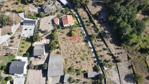 Terreno Rústico  Venda em Tavares (Chãs, Várzea e Travanca),Mangualde