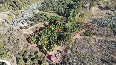 Quintinha T2 Venda em Tavares (Chãs, Várzea e Travanca),Mangualde