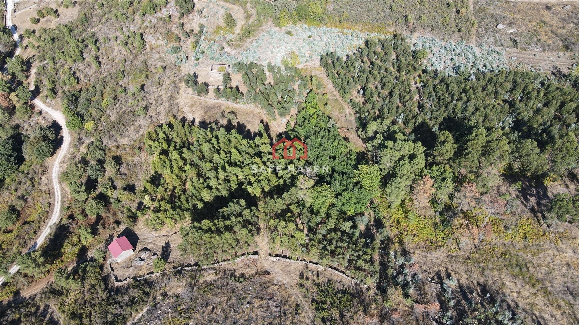 Quintinha T2 Venda em Tavares (Chãs, Várzea e Travanca),Mangualde
