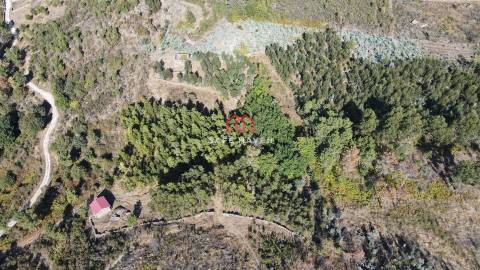 Quintinha T2 Venda em Tavares (Chãs, Várzea e Travanca),Mangualde