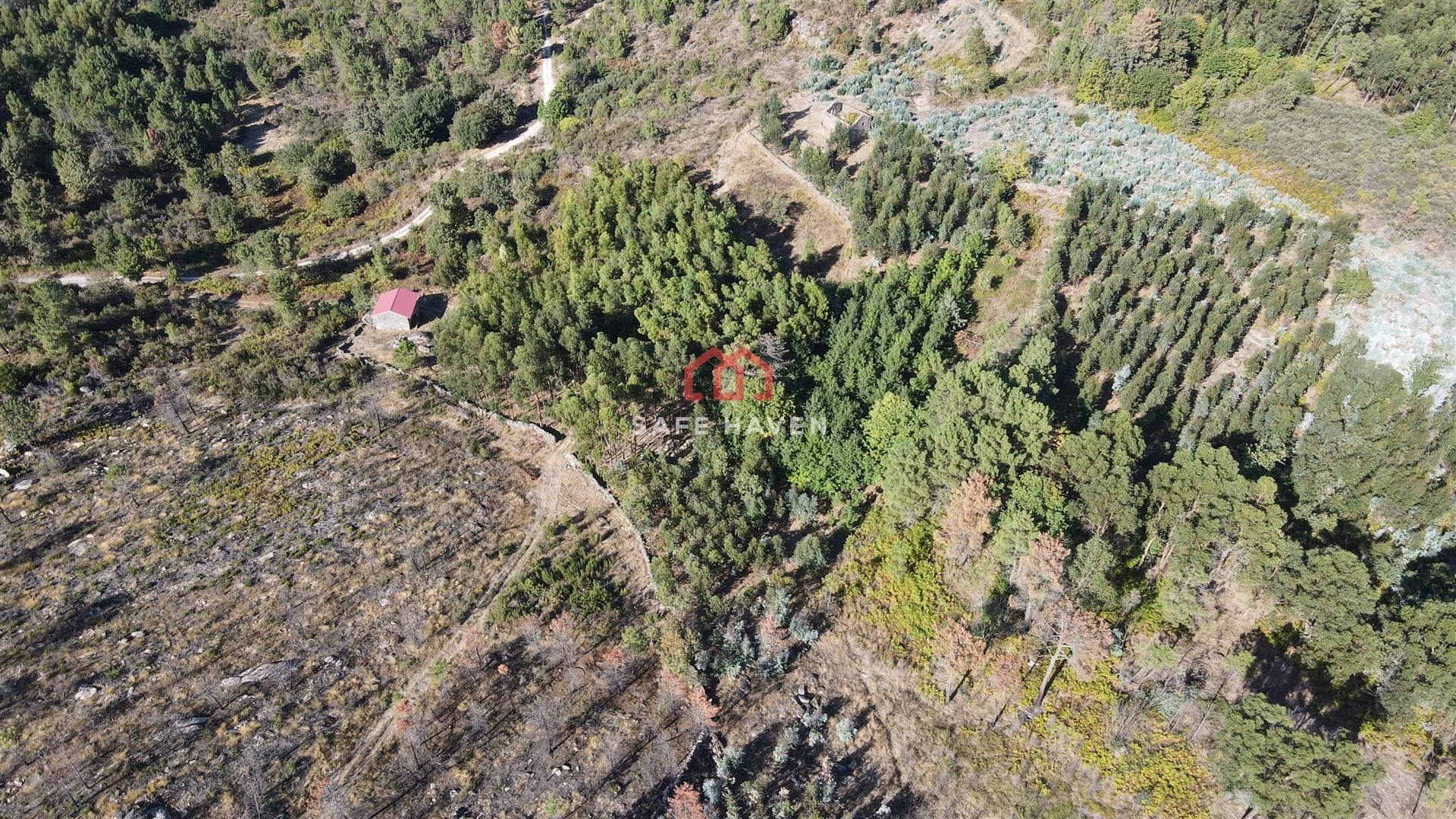 Quintinha T2 Venda em Tavares (Chãs, Várzea e Travanca),Mangualde