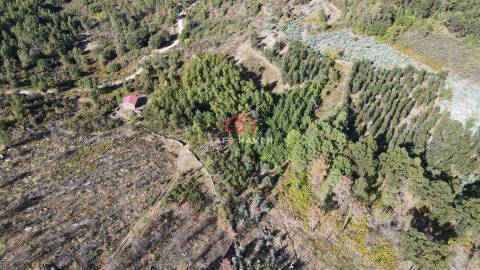 Quintinha T2 Venda em Tavares (Chãs, Várzea e Travanca),Mangualde