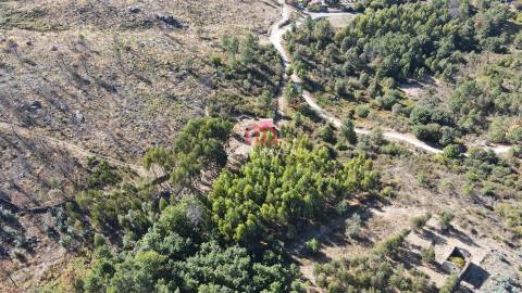 Quintinha T2 Venda em Tavares (Chãs, Várzea e Travanca),Mangualde