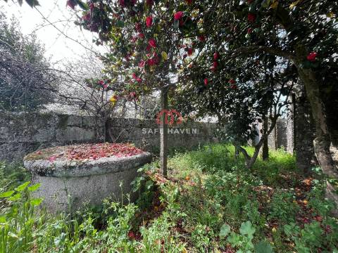 Moradia Isolada T4 Venda em Espinho,Mangualde