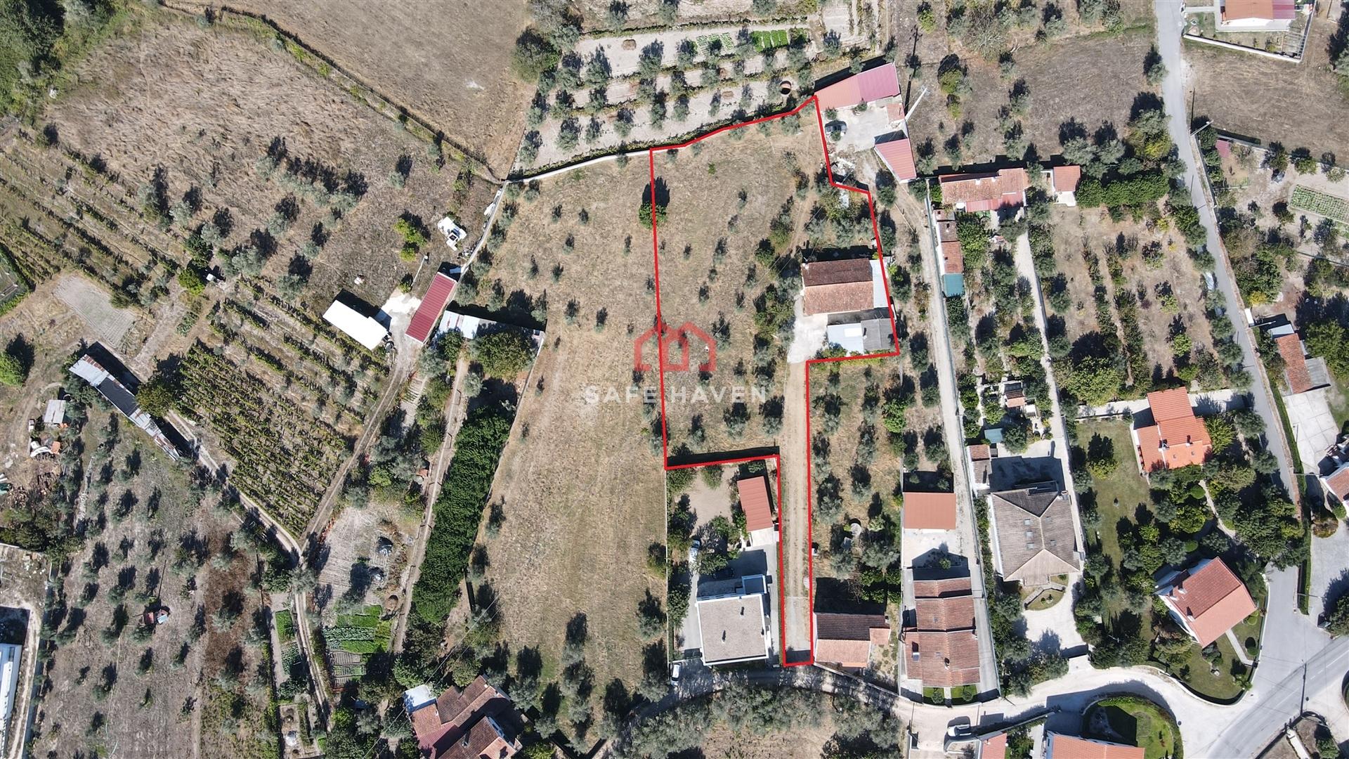 Moradia Isolada T3 Venda em Canas de Senhorim,Nelas