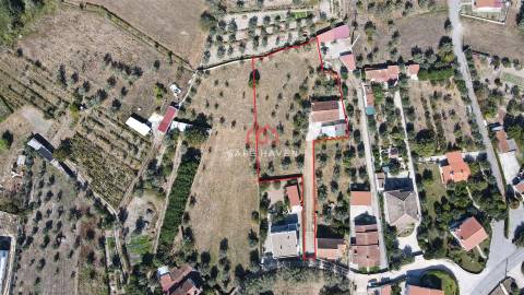 Moradia Isolada T3 Venda em Canas de Senhorim,Nelas