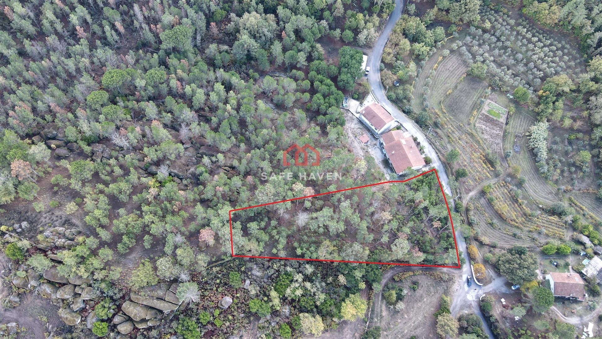 Terreno Rústico  Venda em Mangualde, Mesquitela e Cunha Alta,Mangualde