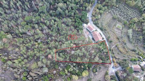 Terreno Rústico  Venda em Mangualde, Mesquitela e Cunha Alta,Mangualde