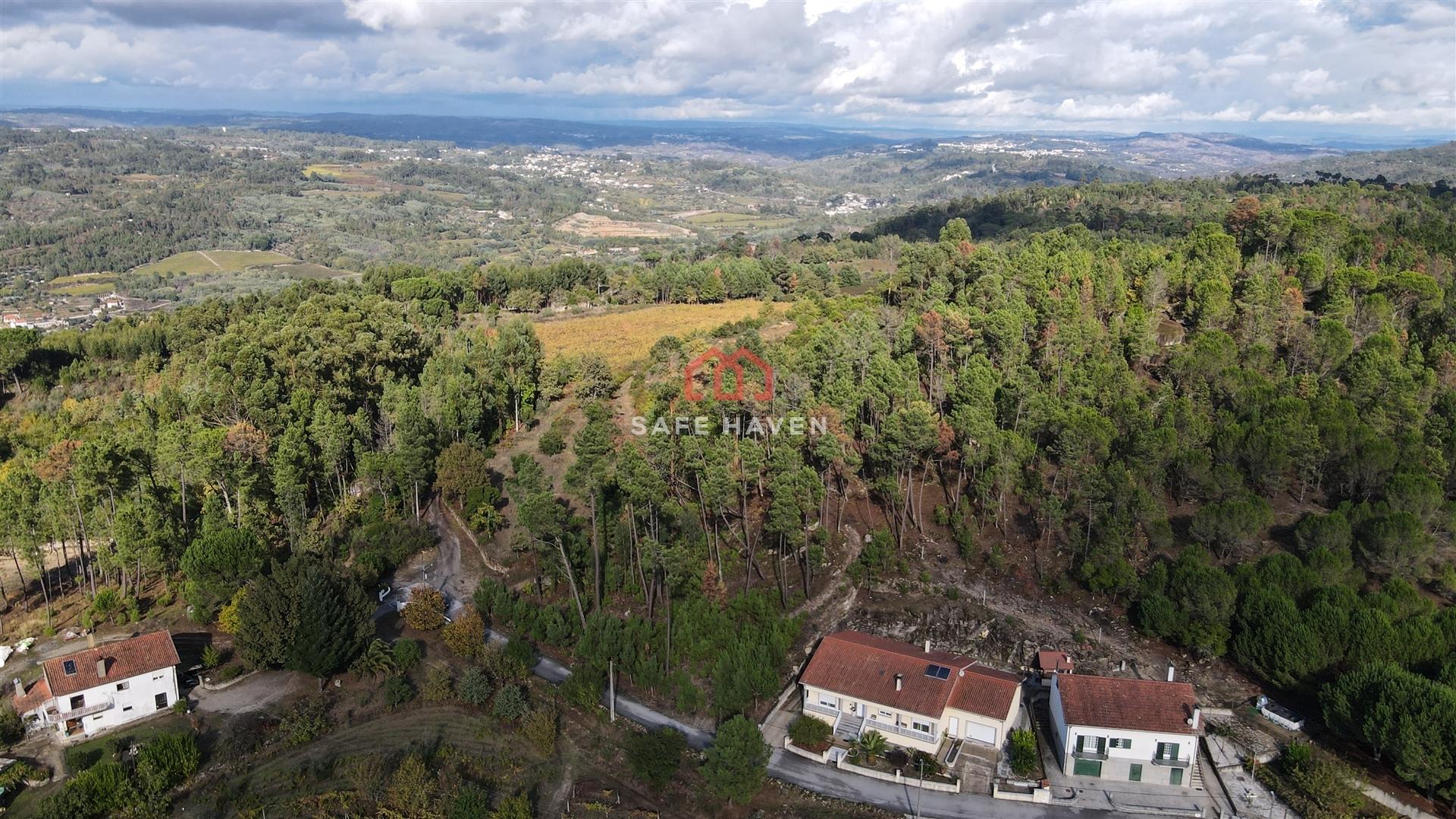 Terreno Rústico  Venda em Mangualde, Mesquitela e Cunha Alta,Mangualde