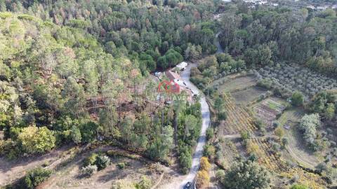 Terreno Rústico  Venda em Mangualde, Mesquitela e Cunha Alta,Mangualde