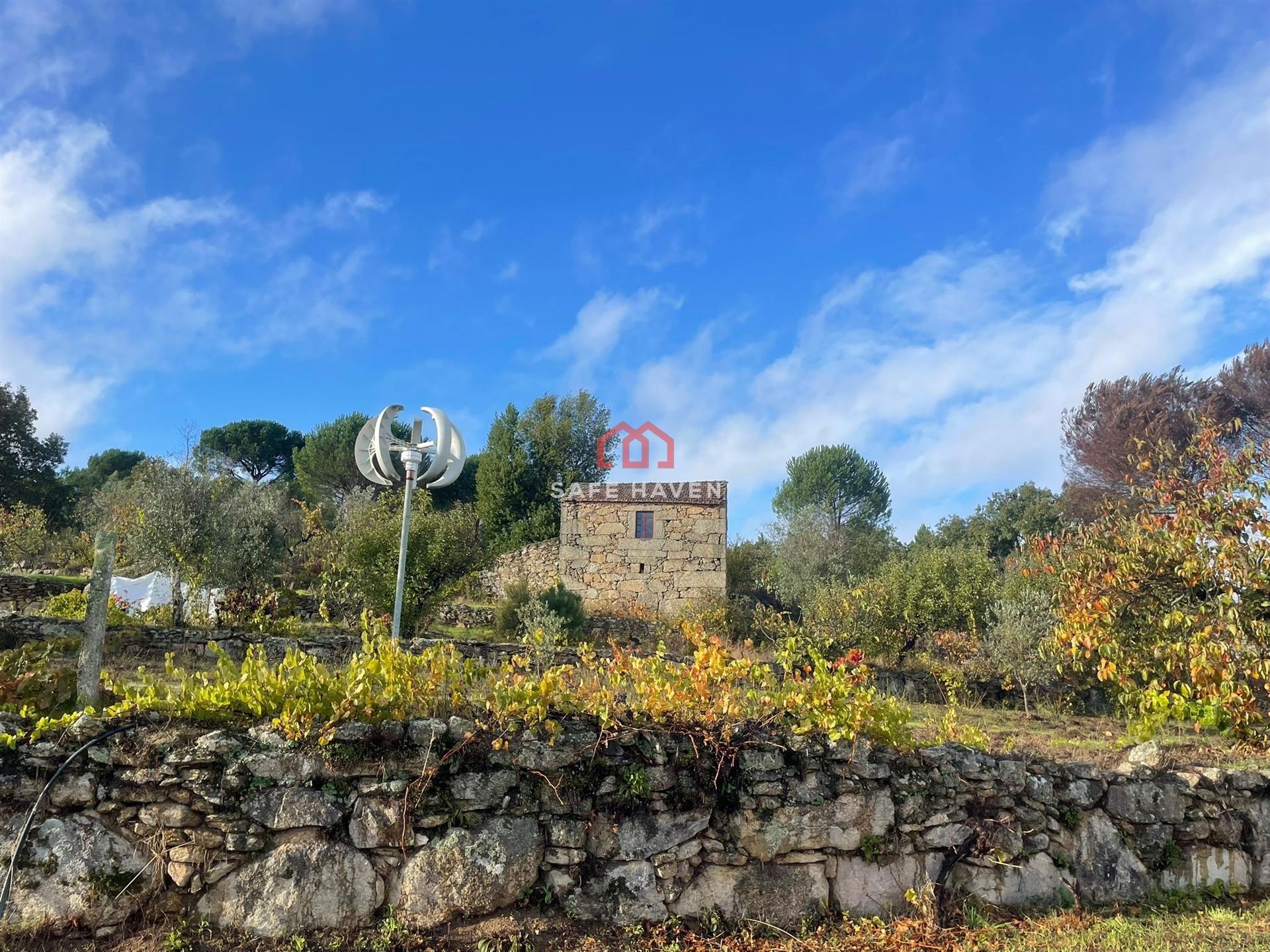 Quinta  Venda em Santiago de Cassurrães e Póvoa de Cervães,Mangualde