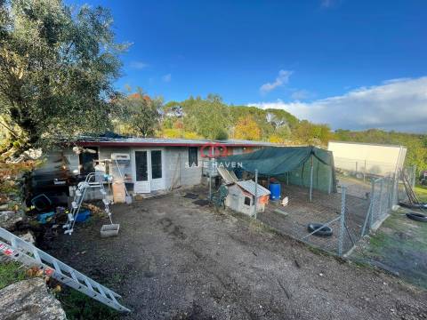 Quinta  Venda em Santiago de Cassurrães e Póvoa de Cervães,Mangualde